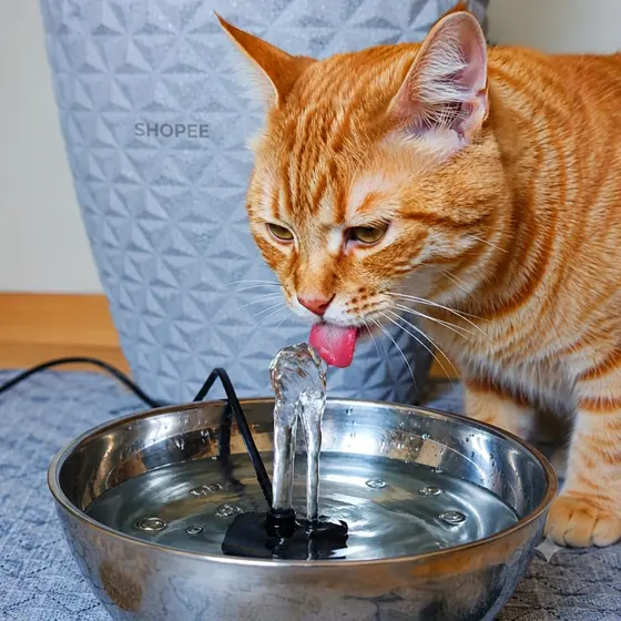 Bomba Submersa para Bebedouro Pet Gato Cachorro Aquario