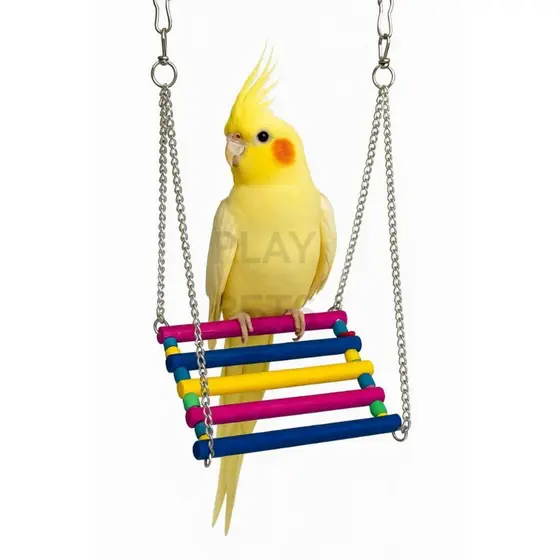 Balanço CORRENTE Colorido, Para Calopsita, Periquito, Aves