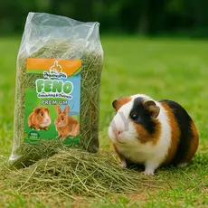 Feno Fresco Super Premium para Coelho, Hamster, Porquinho Da Índia
