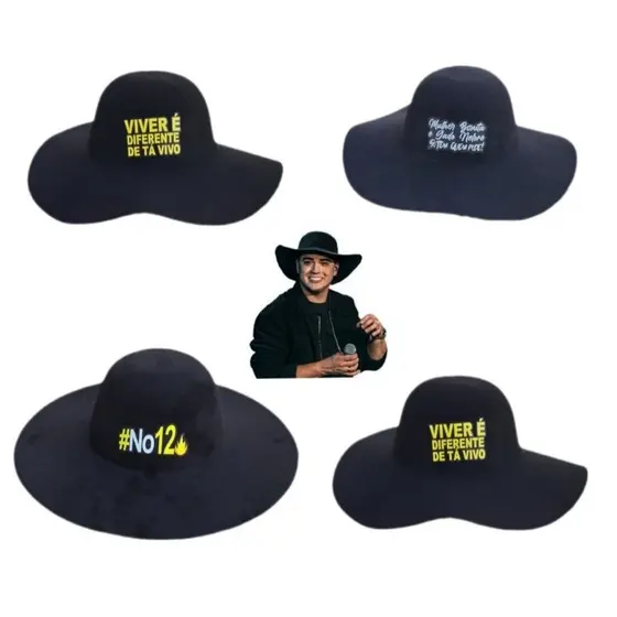 Chapéu cata ovo feltro Natanzinho caminhoneiro frases Country Sertanejo Unissex Rodeio Cowboy verão