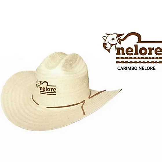 Chapéu Carimbo Nelore Aba Curvada Arizona de Palha Com Arame Com Cordão Ajustável Aba 10