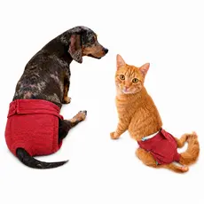 Porta Fraldas Para Cachorro E Gato Fêmea Paraplégico E No Cio
