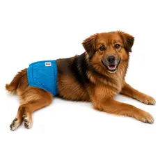 Porta Fraldas Cachorro Macho Paraplégico Incontinência Urinária