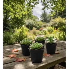 Vasinhos Preto para Mini Plantas suculentas e cactos grande pequeno colorido 150ml Flor flores