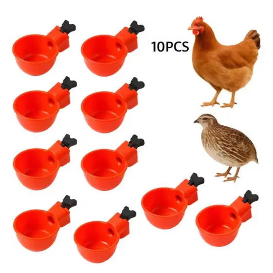 Bebedouro Automático Para Aves Galinhas - Copo De Água Cor Vermelho