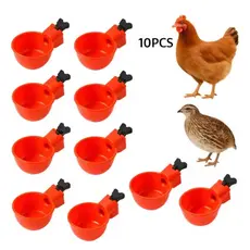 Bebedouro Automático Para Aves Galinhas - Copo De Água Cor Vermelho