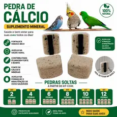 Pedras Cálcio Passaros Kit Calopsita Periquito Papagaio Aves Suplemento Mineral Digestão Bico Forte