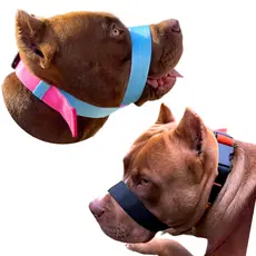 A Melhor Focinheira Do Mercado Pet Para Cachorro Cão Pitbull Salu Pet