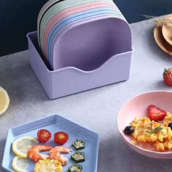 Kit Com 10 Pratos Plásticos Duros Reutilizaveis Com Suporte Novo