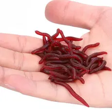 50pcs Bionic Earthworm Silicone Macio Isca de Silicone Minhocas Conjunto de Iscas de Pesca para Carpa Iscas Artificiais