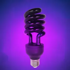 Luz Negra Neon Lâmpada Led Luz Negra para Festa Luz Neon Festa Ultravioleta Florescente Roxa