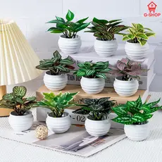 Kit 4 Mini Plantas Artificiais com Vaso | Arranjo Realista para Decoração | Diversos Ambientes