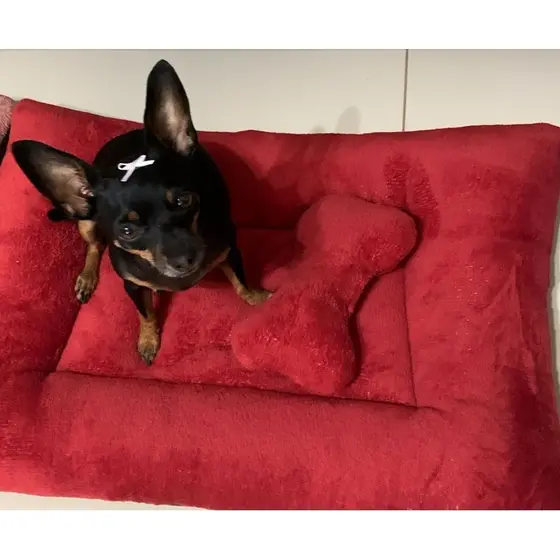 colchonete tapete cama pet soft para cães e gatos V9