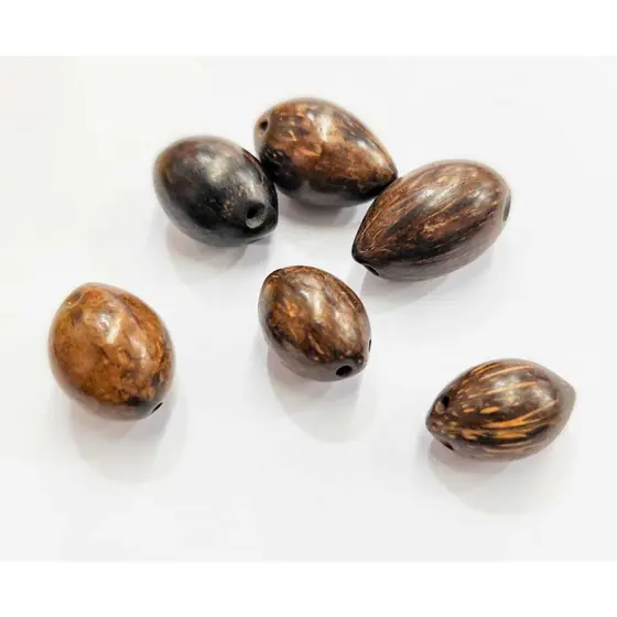 Coquinho