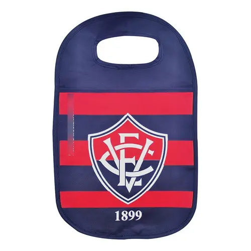 Lixeira De Carro - Vitória