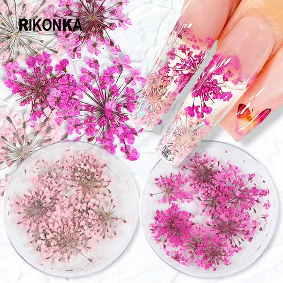 10 Natural Flores Secas Do Ar Nail Art Decorações Vermelho Rosa Planta Lantejoula Manicure Acessórios Kit Para A Primavera Gel Unha Projetos De Ponta