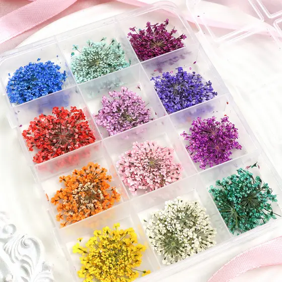 48 Flores 12 Cores Conjunto De Arte De Unhas De Secas , Prensadas Naturais Para Manicure Faça Você Mesmo , Gel , Decoraç