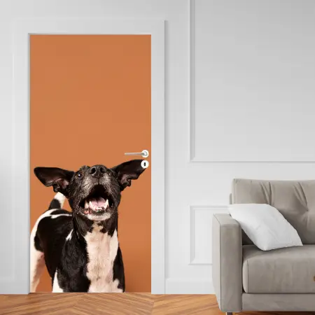Papel Parede Adesivo para Portas de Madeira ou Vidro Decoração Revestimento - CACHORRO CACH01