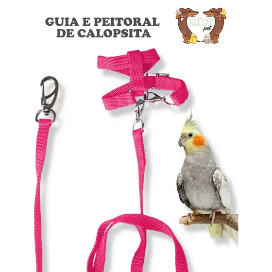 Coleira Peitoral para Calopsita c/ Guia Regulável Mlt Pet