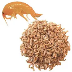 Ração Gammarus Liofilizado Alimento Natural Para Peixe e Tartarugas