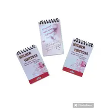 bloquinho de anotação pequeno mulher virtuosa kit com 10