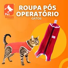 Roupa Pós Cirúrgica de Castração Para Gatos Machos E Fêmeas