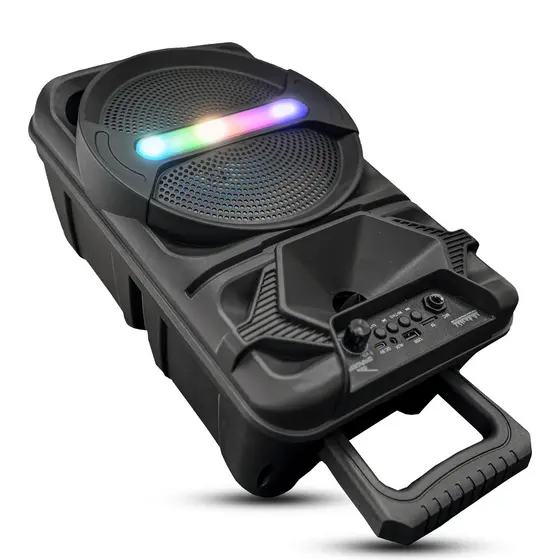 Caixa Som Amplificada Grasep Bluetooth Potente 15W RMS Grande Microfone Função Karaokê Bateria de Longa Duração