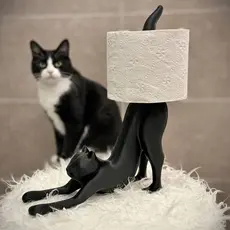 Suporte Criativo Para Papel Higiênico De Gato Que Se Estica