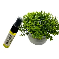 Cheirinho de Carro Spray e Aromatizador Ambiente 15ml Carro Novo