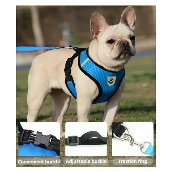 Peitoral Com Guia para Cachorro Caes Gato Coelho Regulavel Super Confortavel Coleira Pet Ajustavel
