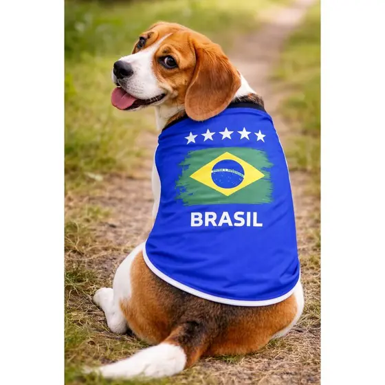 Camiseta Copa Pet Brasil Roupa Cachorro Gato Seleção Futebol Time Azul Confortável