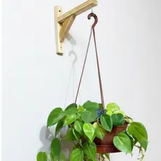 Kit com Suporte para Pendurar Vaso Jardim Vertical de Planta Gancho