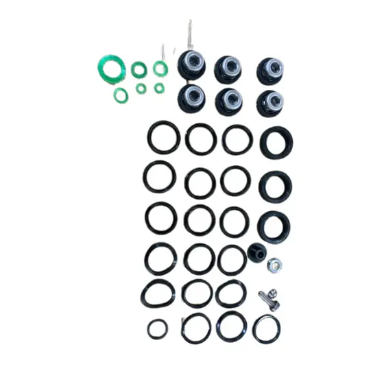 Reparos Gaxeta Válvula Bomba 22 L Buffalo Tekna Toyama Zmax