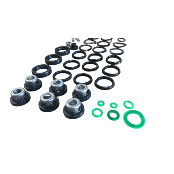 Kit De Reparos Válvulas Bomba 40 45L Agrícola Tekna Buffalo Toyama