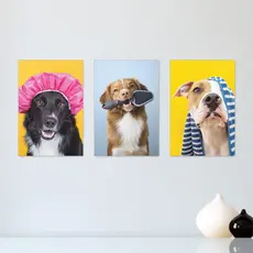 Kit 3 Quadros Decorativos Pet Shop Cachorros  Banho Placas Decorativas - 0031ktpl