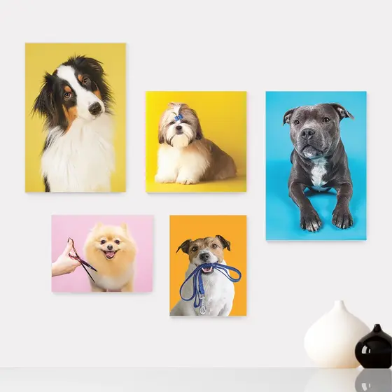 Kit 5 Quadros Decorativos Placas - Pet Shop - Cachorro - Animais - Veterinário Casa Quarto Sala - 254ktpl5