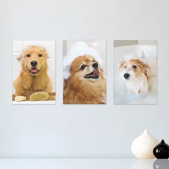 Kit 3 Quadros Decorativos Pet Shop Cachorros  Banho Placas Decorativas - 0032ktpl