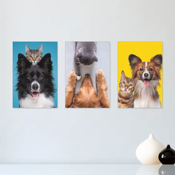 Kit 3 Quadros Decorativos Pet Shop Cachorros Gatos Placas Decorativas  - 0029ktpl