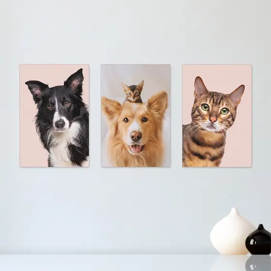 Kit 3 Quadros Decorativos Pet Shop Cachorros Gatos  Placas Decorativas - 0030ktpl