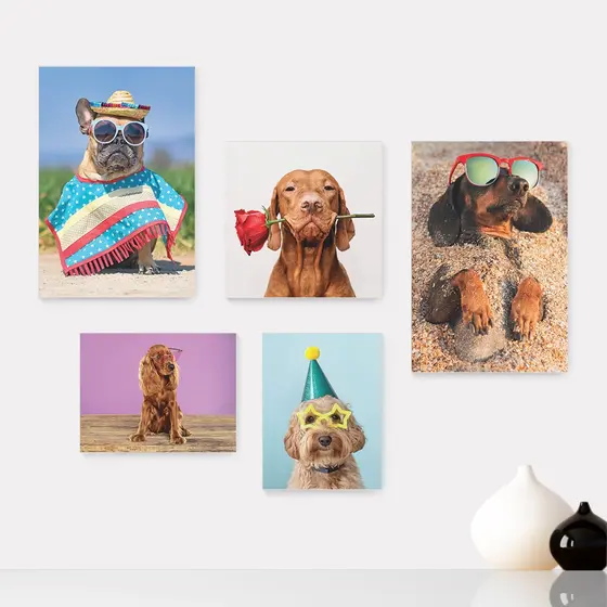 Kit 5 Quadros Decorativos Placas - Pet Shop - Cachorro - Animais - Veterinário Casa Quarto Sala - 257ktpl5