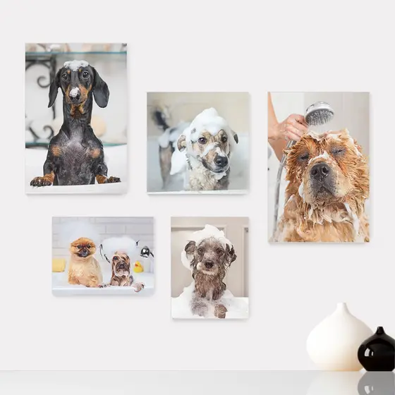 Kit 5 Quadros Decorativos Placas - Pet Shop - Cachorro - Animais - Veterinário Casa Quarto Sala - 248ktpl5