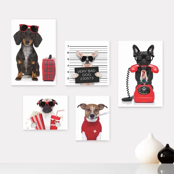 Kit 5 Quadros Decorativos Placas - Pet Shop - Cachorro - Animais - Veterinário Casa Quarto Sala - 230ktpl5