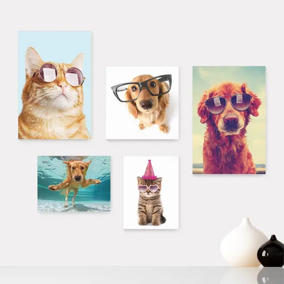 Kit 5 Quadros Decorativos Placas - Pet Shop - Gatos - Cachorros - Animais - Veterinário Casa Quarto Sala - 260ktpl5
