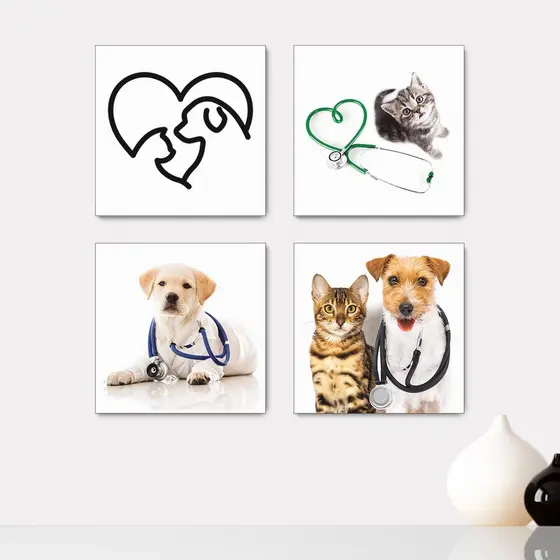 Kit 4 Quadros Decorativos Pet Shop Veterinário Cachorros Gatos Placas - 0006ktpl4