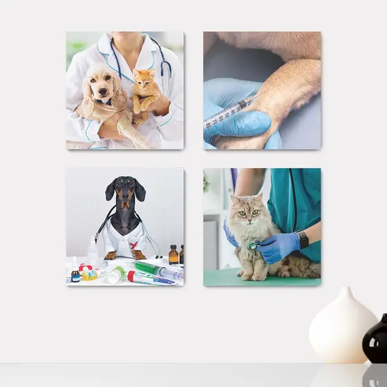 Kit 4 Quadros Decorativos Pet Shop Veterinário Cachorros Gatos Placas - 0007ktpl4
