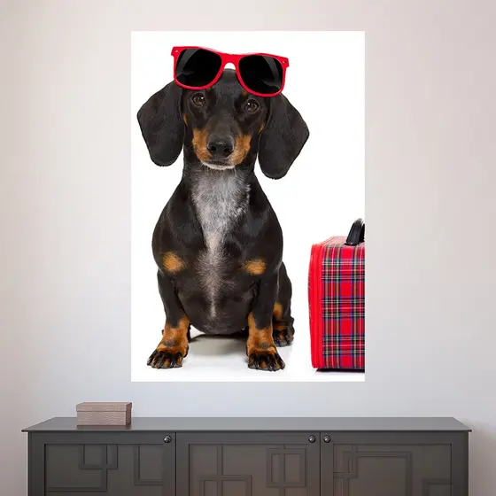 Painel Adesivo Decorativo de Parede Cachorro Pet Shop Veterinário Animais Casa Sala Quarto - 1626pn