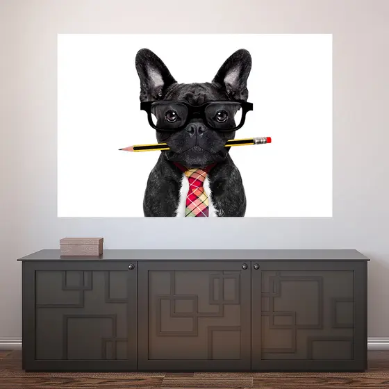 Painel Adesivo Decorativo de Parede Cachorro Pet Shop Veterinário Animais Casa Sala Quarto - 776pn