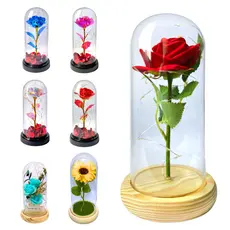 Luminária Cúpula A Bela E A Fera O Pequeno Príncipe Rosa Encantada Rosas Coloridas com  LED Caixa