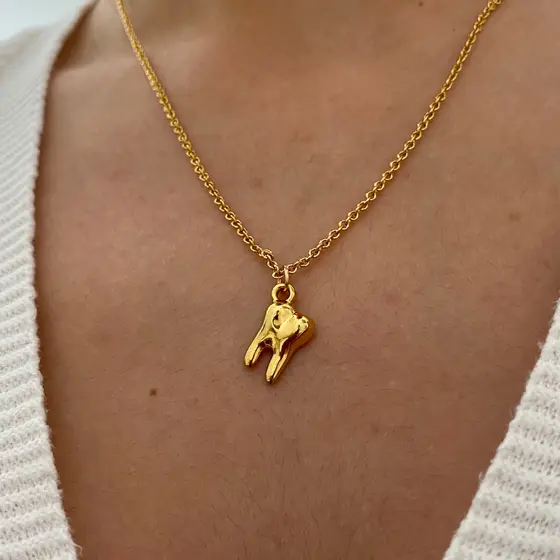Colar Personalizado Dentista Dente Folheada a Ouro 18K Pingente Profissão Com banho de verniz italiano