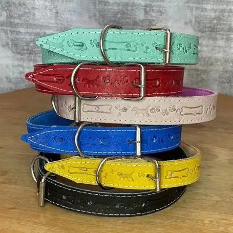 Coleira para Cachorro de Couro PROMASTER Nº 0 ao 10 – 6 Unidades Resistente